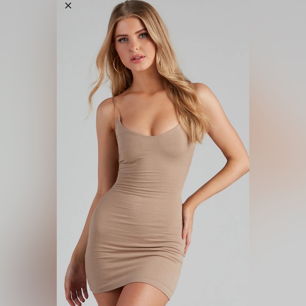 Windsor The One You Need Mini Dress